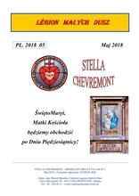 swieto-maryi-br-matki-kosciola-br-bedziemy-obchodzic-br-po-dniu-piedziesiatnicy