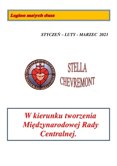 w-kierunku-tworzenia-miedzynarodowej-rady-centralnej